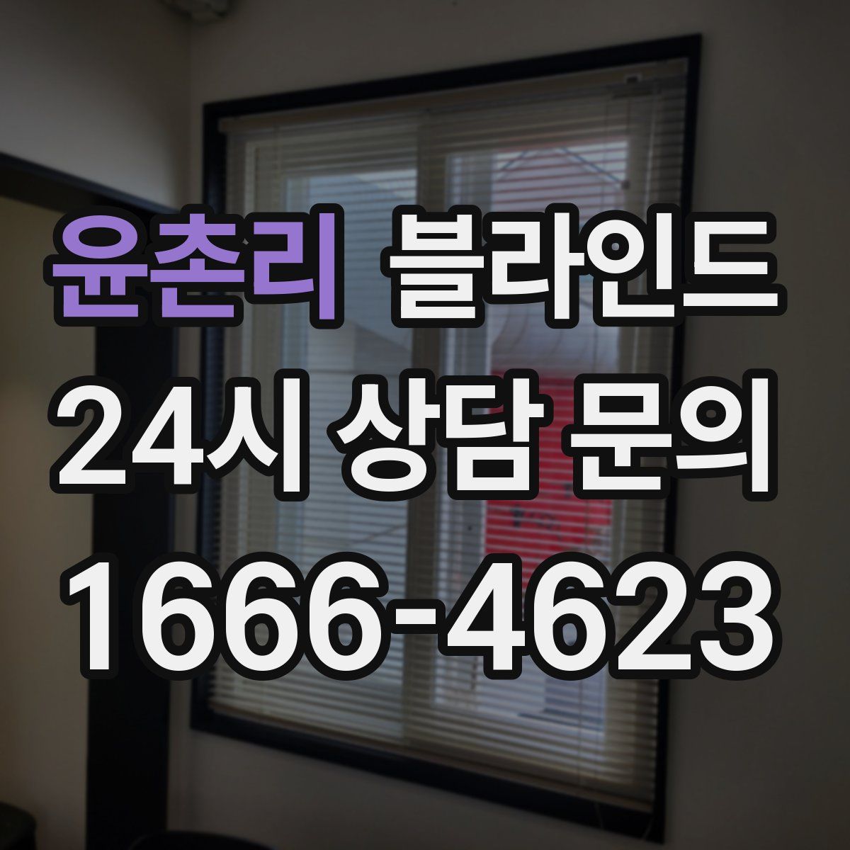 윤촌리 블라인드