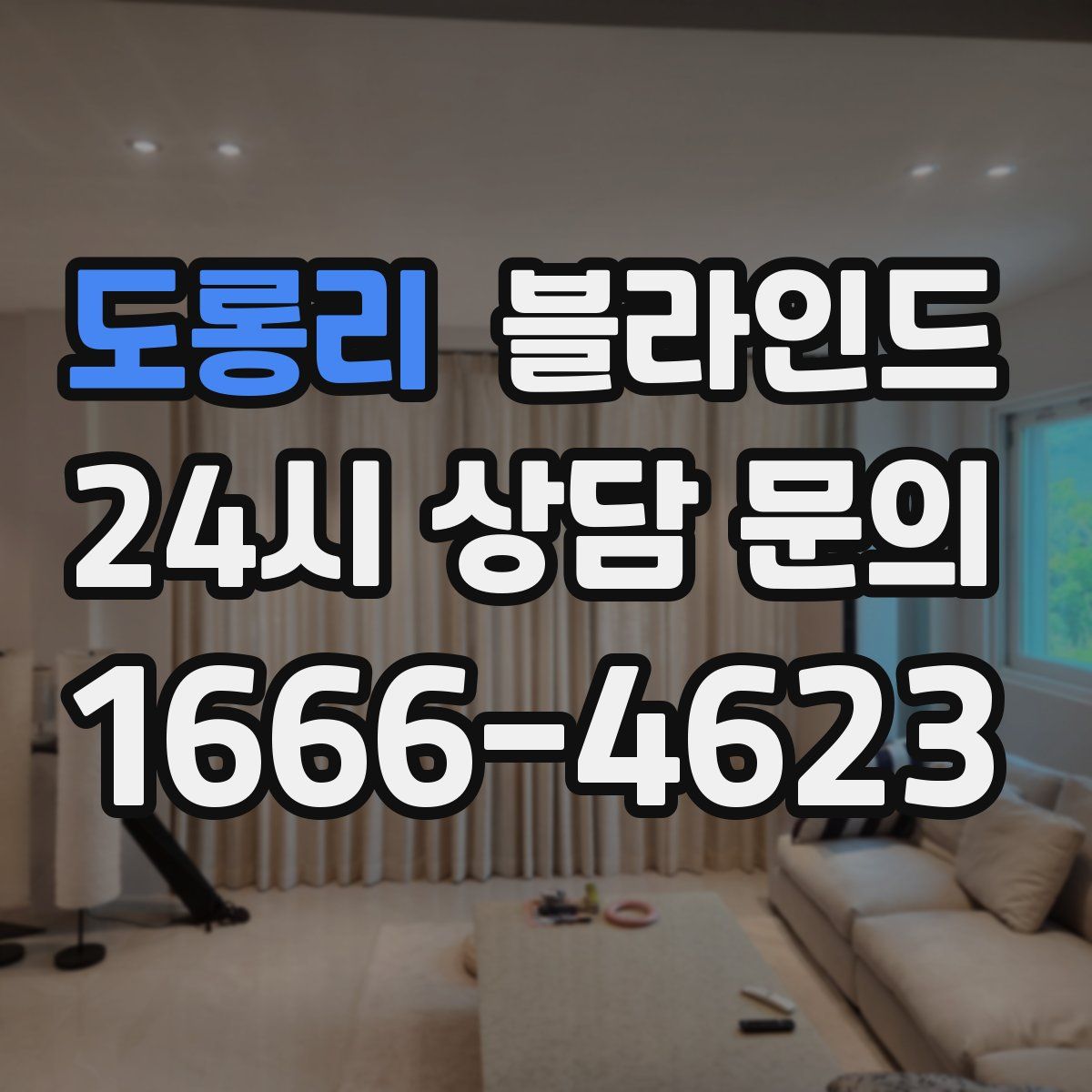도롱리 블라인드