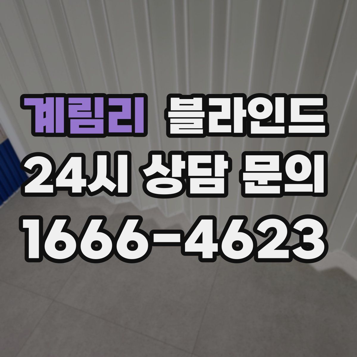 계림리 블라인드
