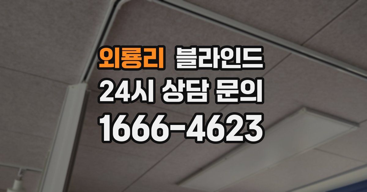 외룡리 블라인드