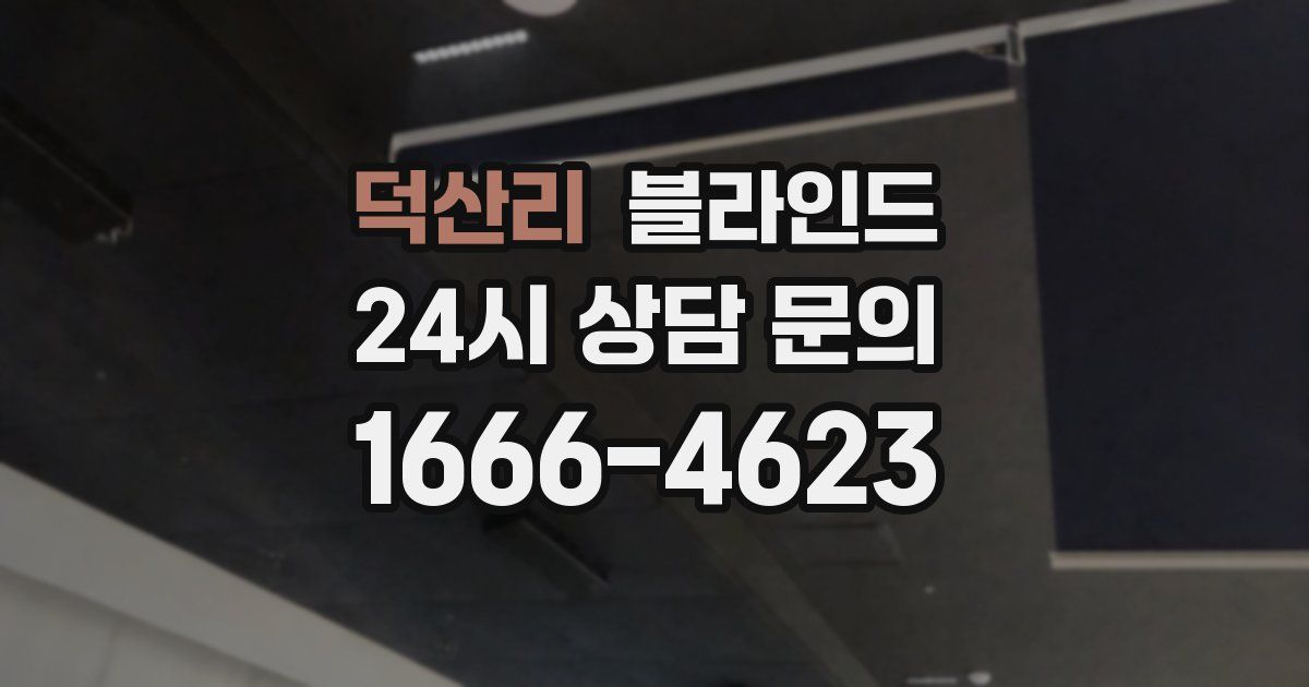 덕산리 블라인드