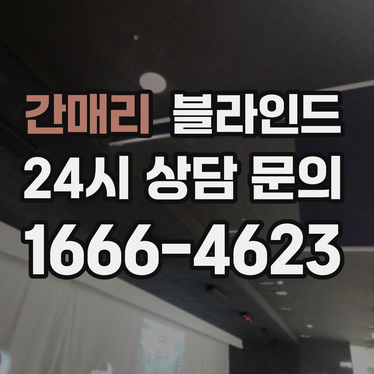 간매리 블라인드