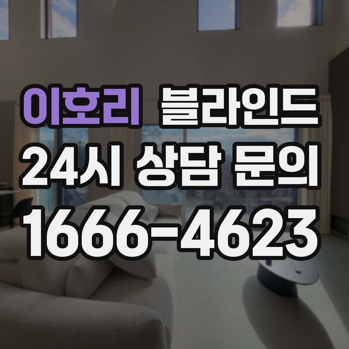 이호리 블라인드