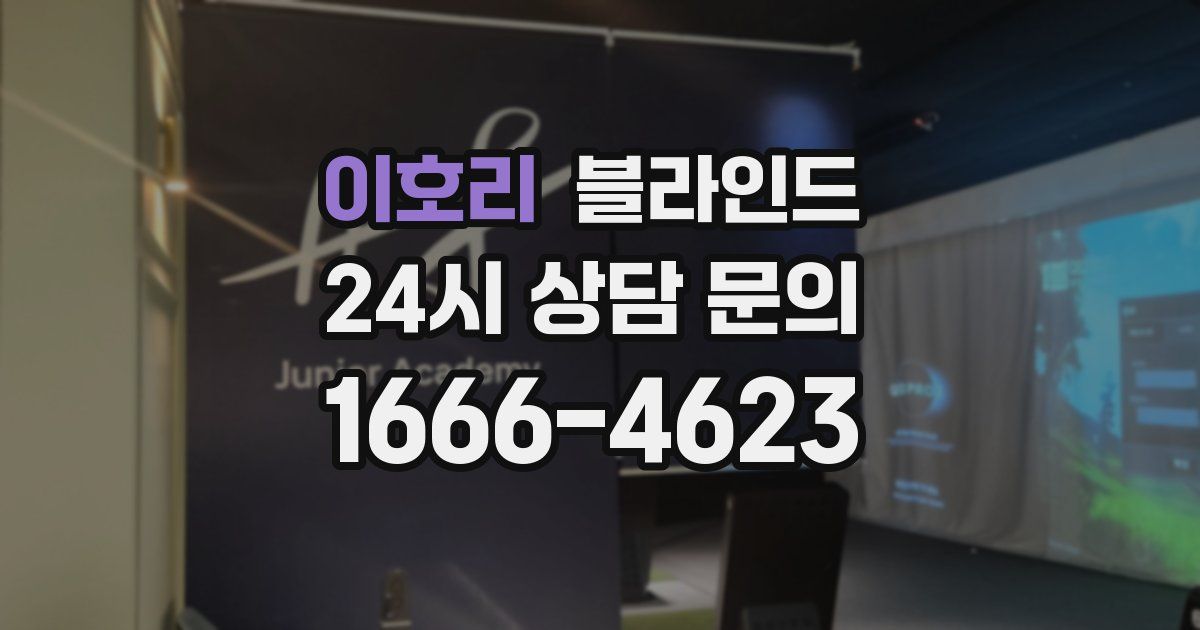 이호리 블라인드