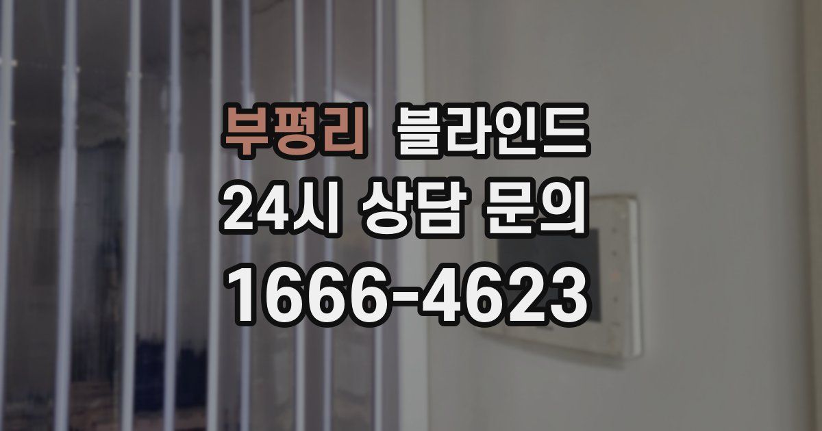 부평리 블라인드