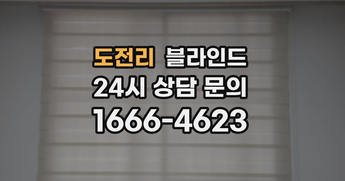 도전리 블라인드
