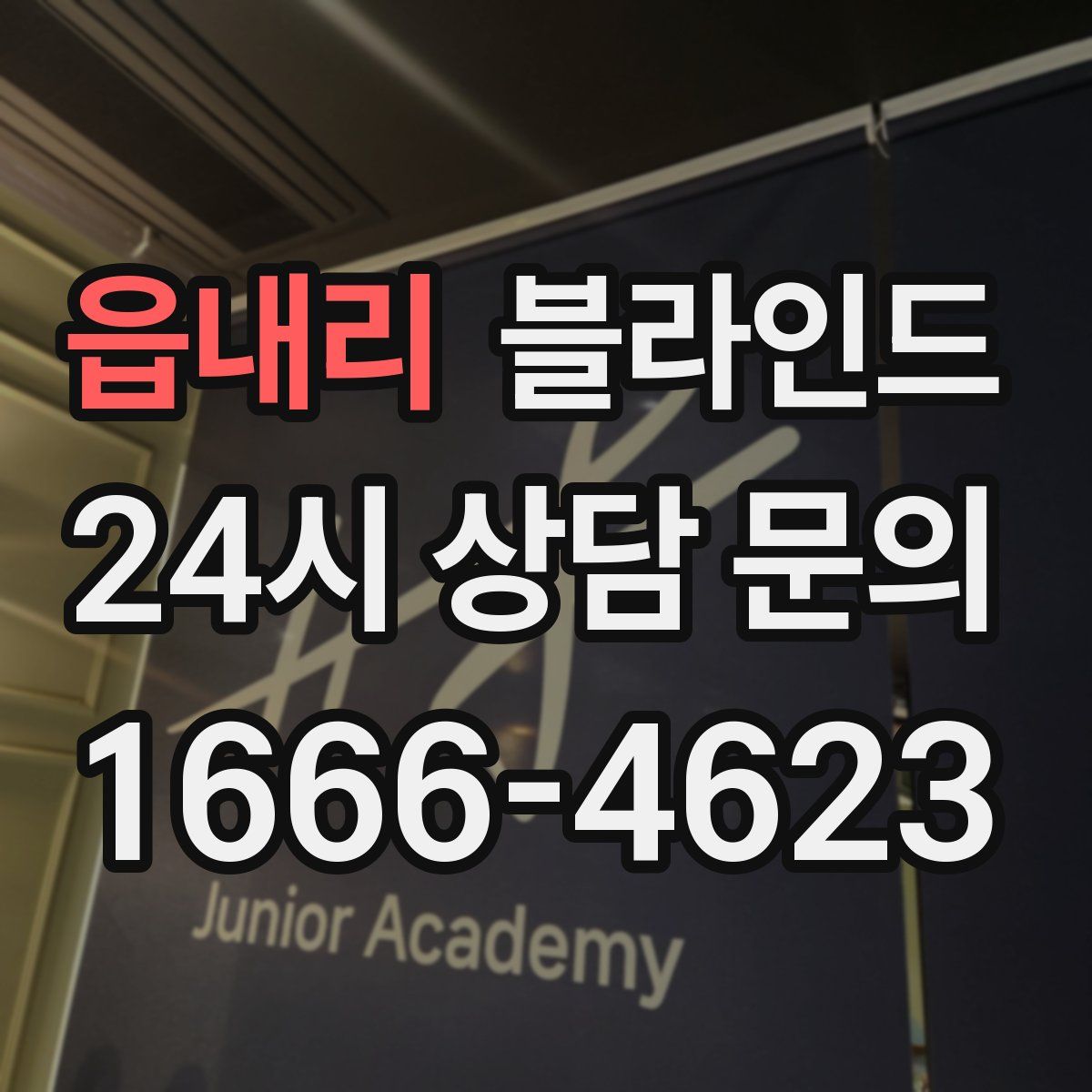 읍내리 블라인드