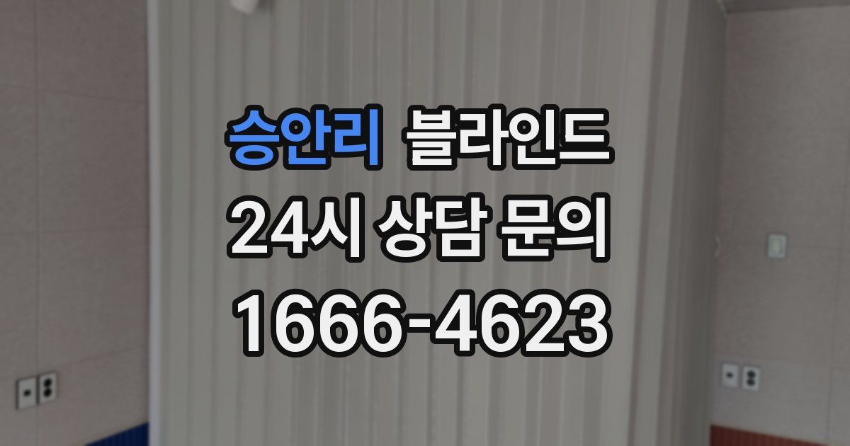 승안리 블라인드