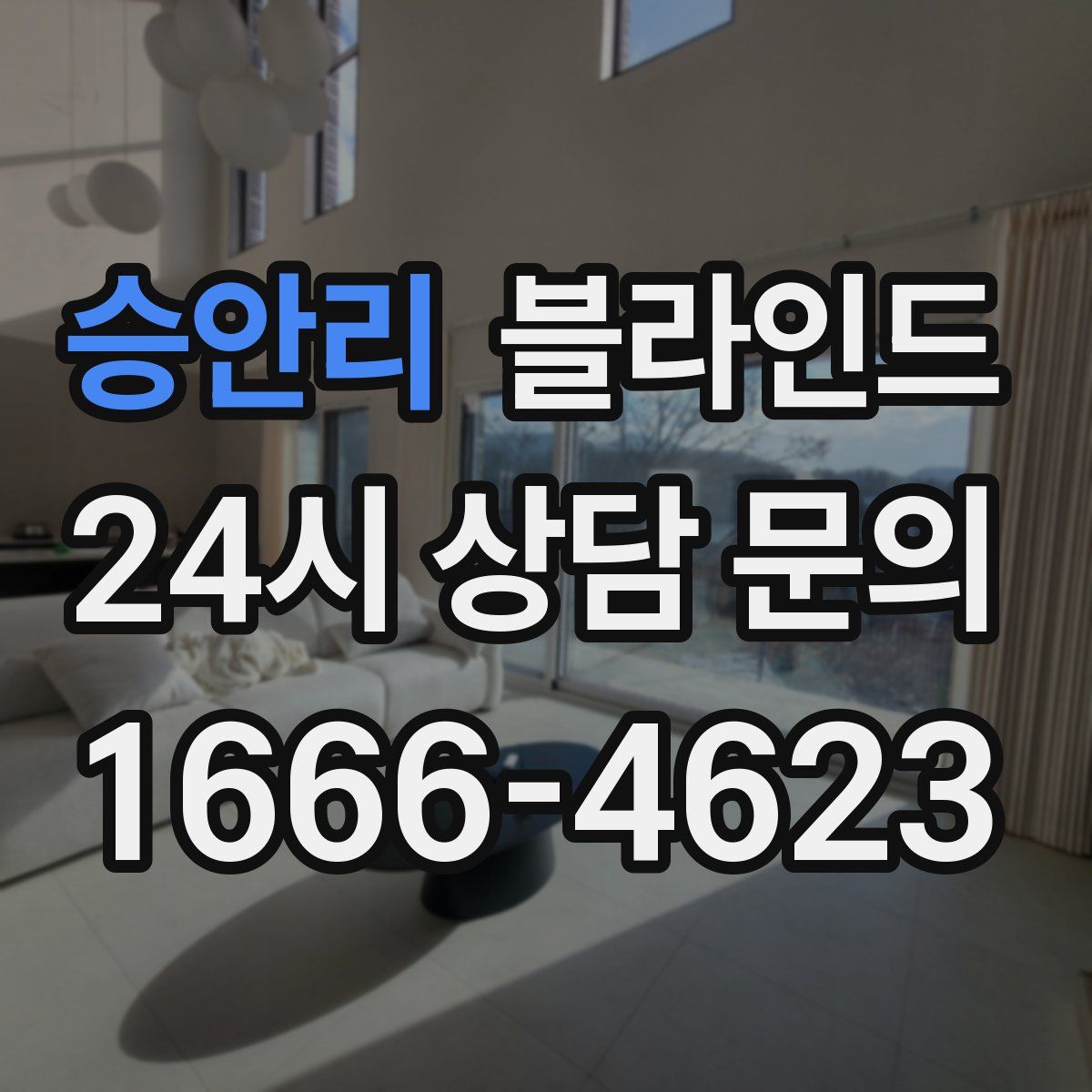 승안리 블라인드