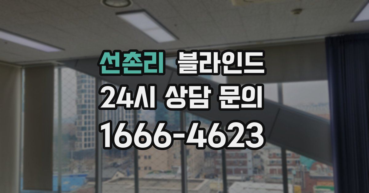 선촌리 블라인드