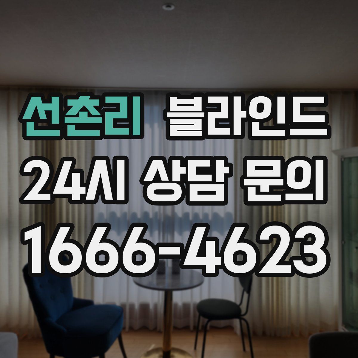 선촌리 블라인드