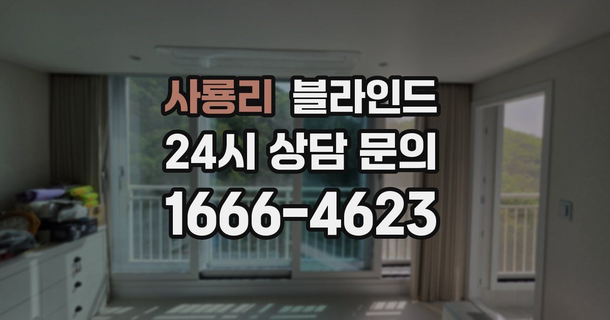 사룡리 블라인드