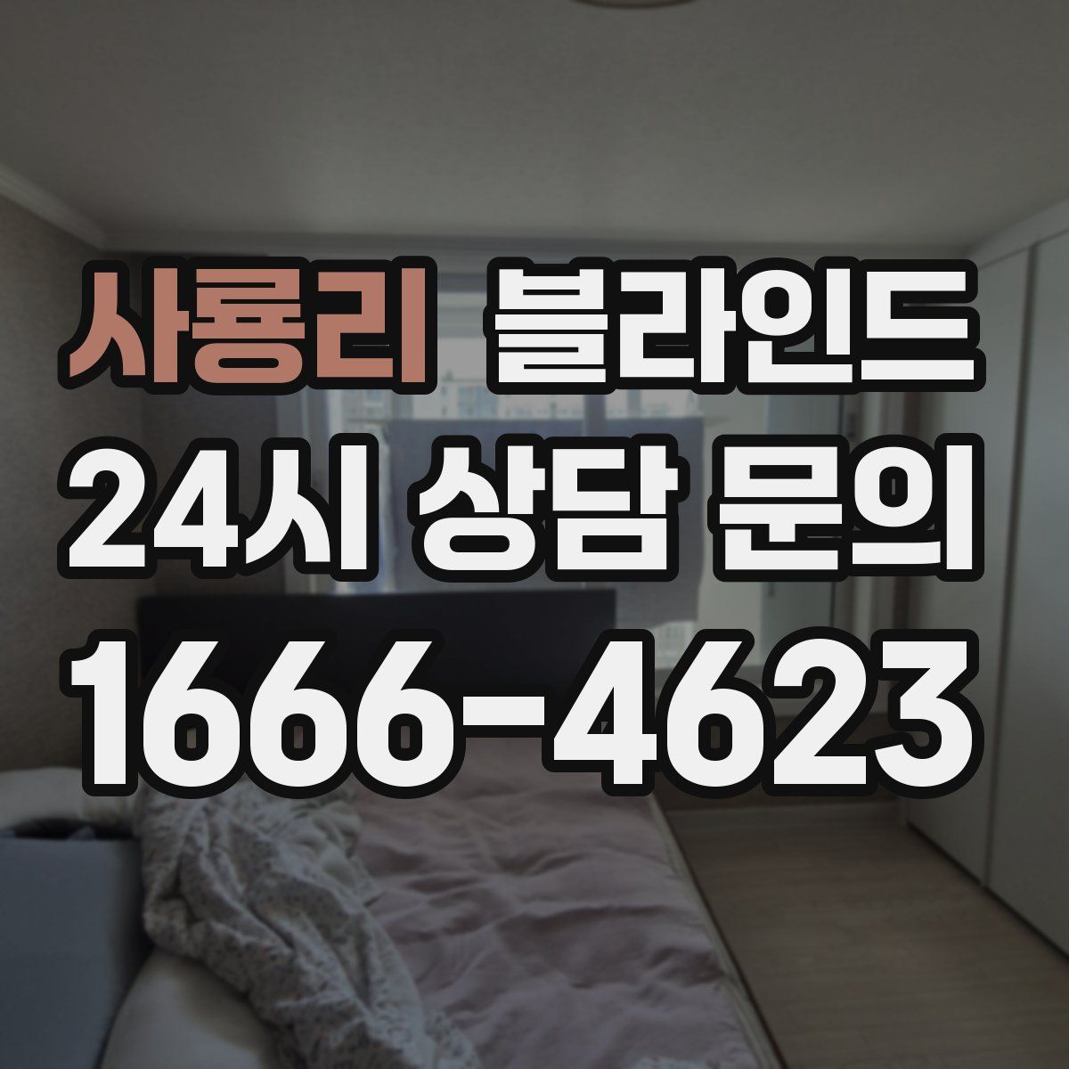 사룡리 블라인드