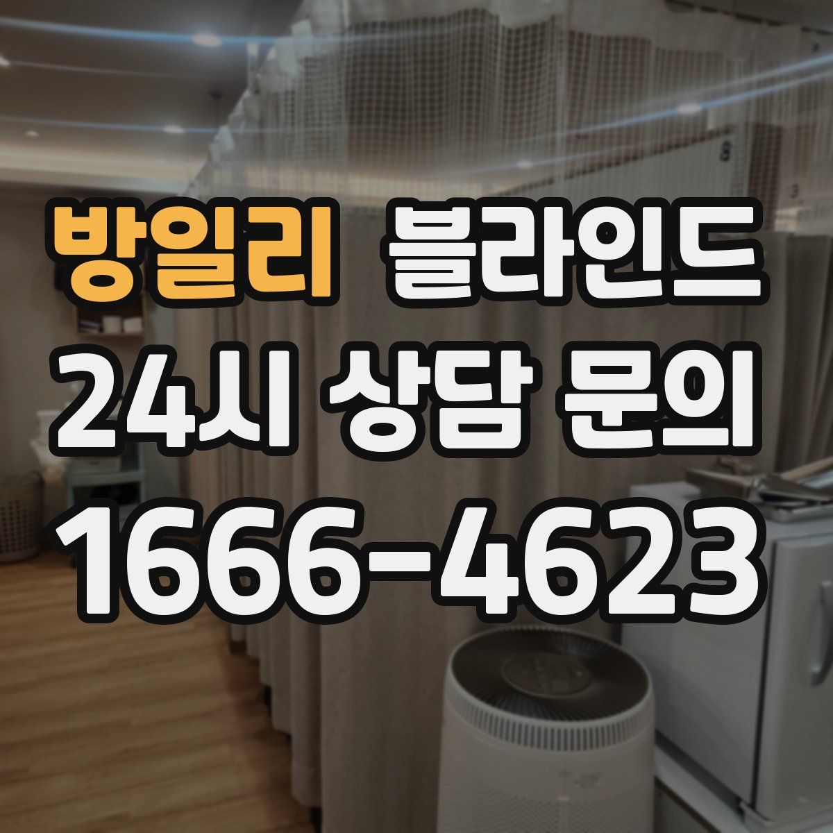 방일리 블라인드