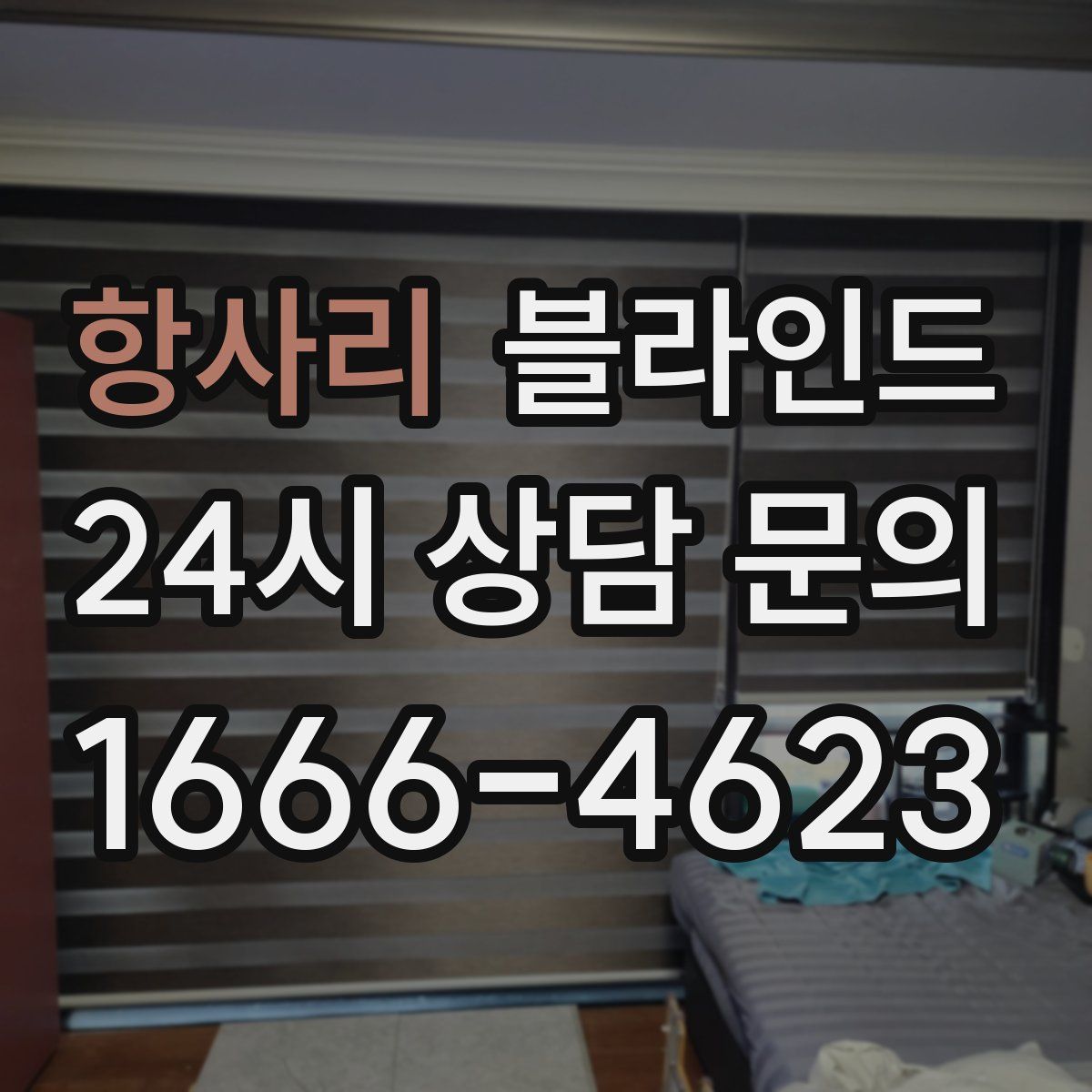 항사리 블라인드