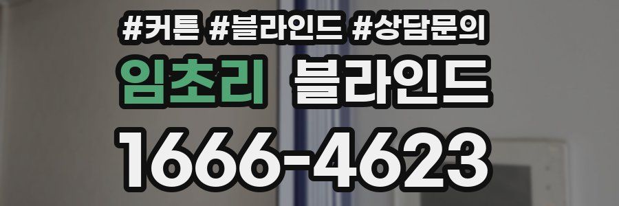 임초리 블라인드