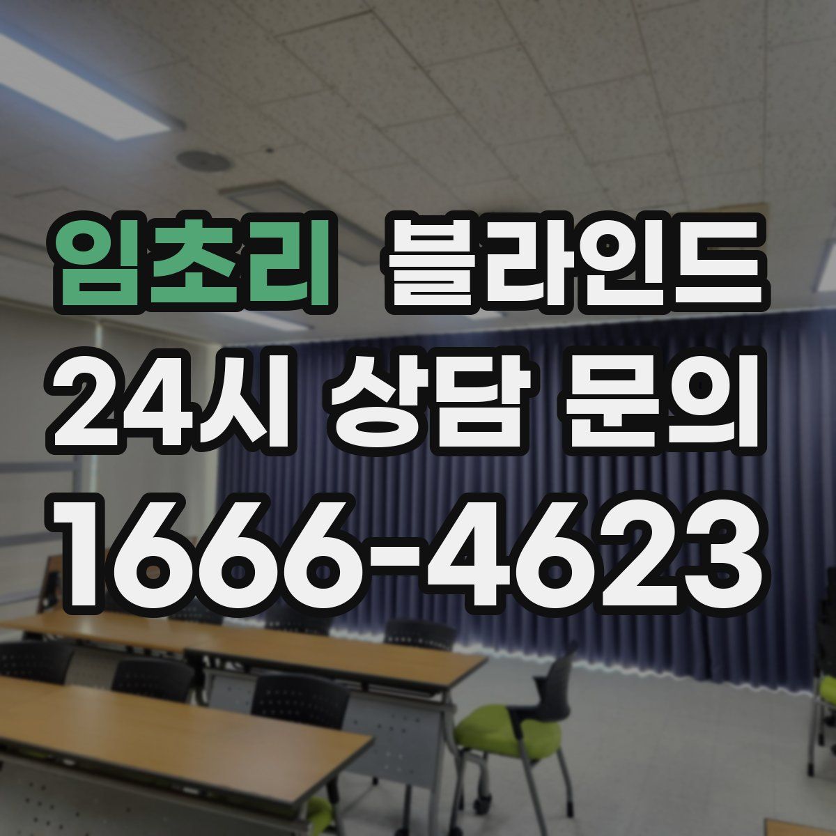 임초리 블라인드