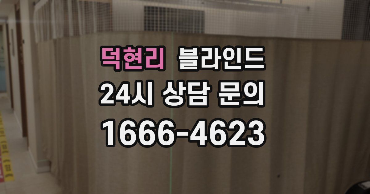 덕현리 블라인드