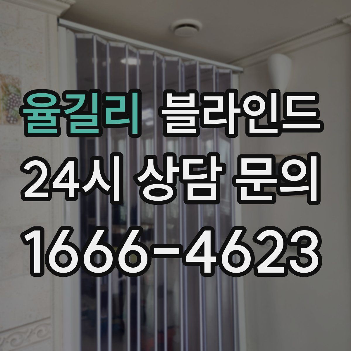 율길리 블라인드