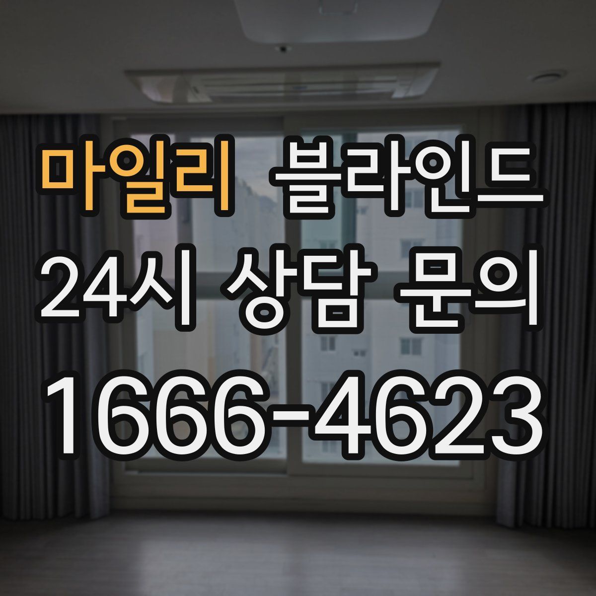 마일리 블라인드