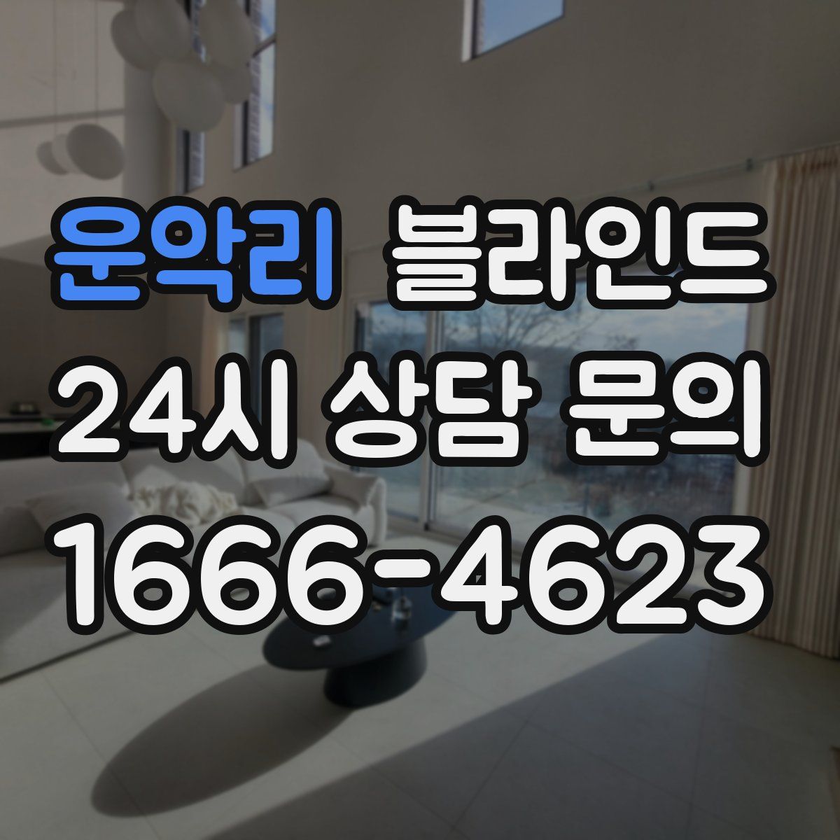 운악리 블라인드