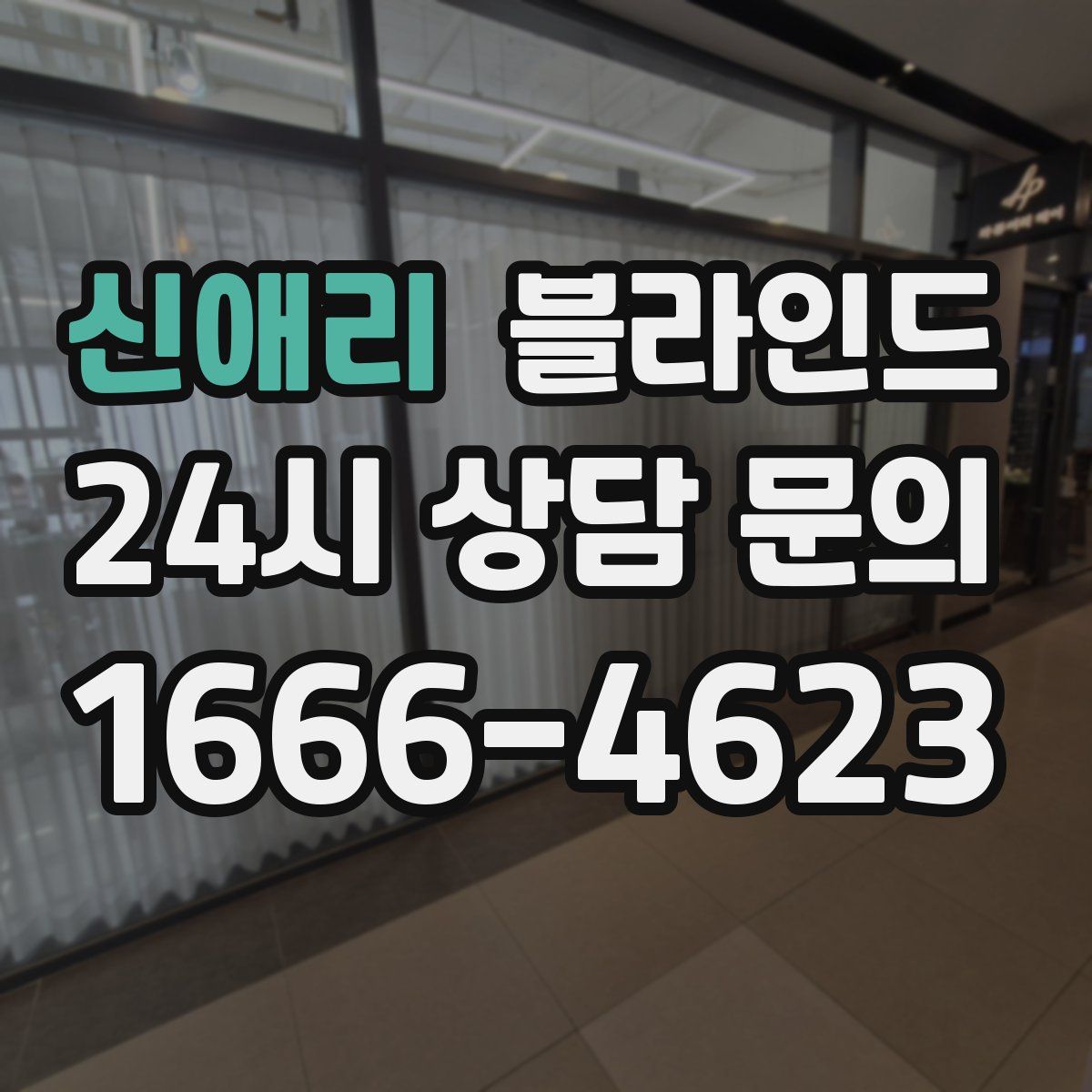 신애리 블라인드
