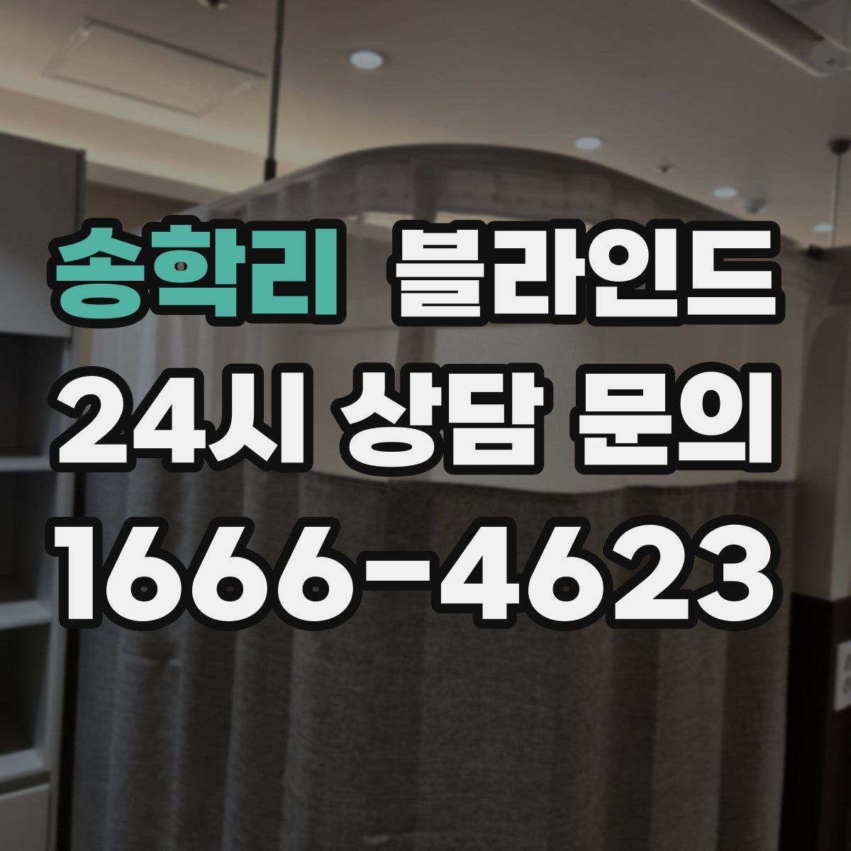 송학리 블라인드