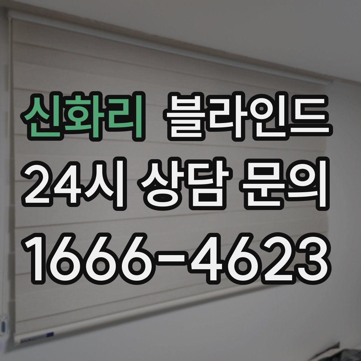 신화리 블라인드