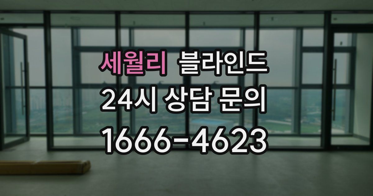 세월리 블라인드