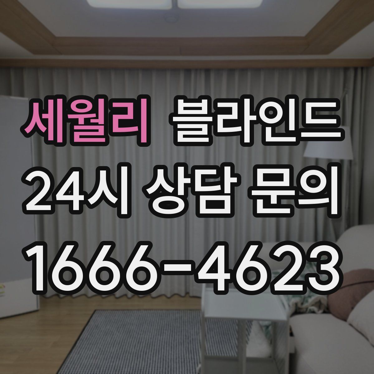 세월리 블라인드