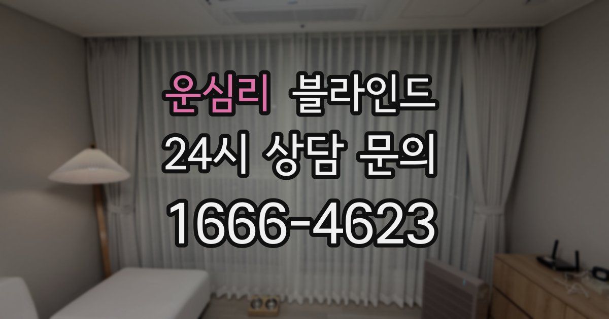 운심리 블라인드