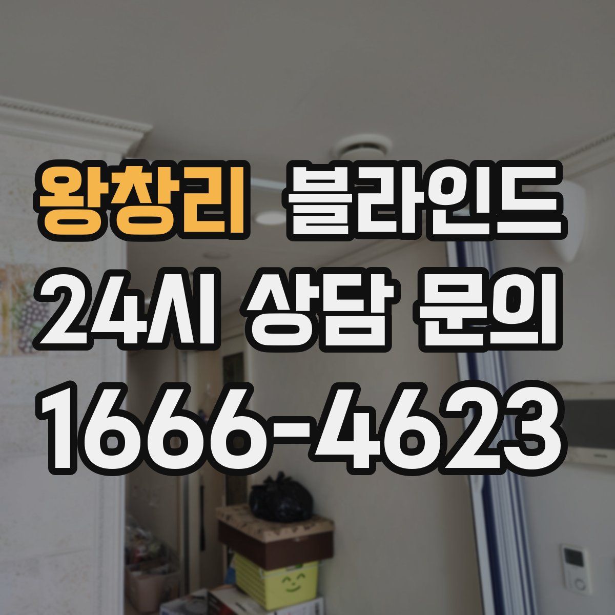 왕창리 블라인드