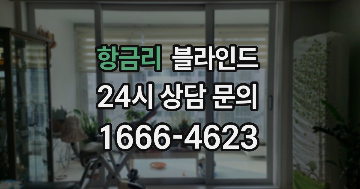 항금리 블라인드