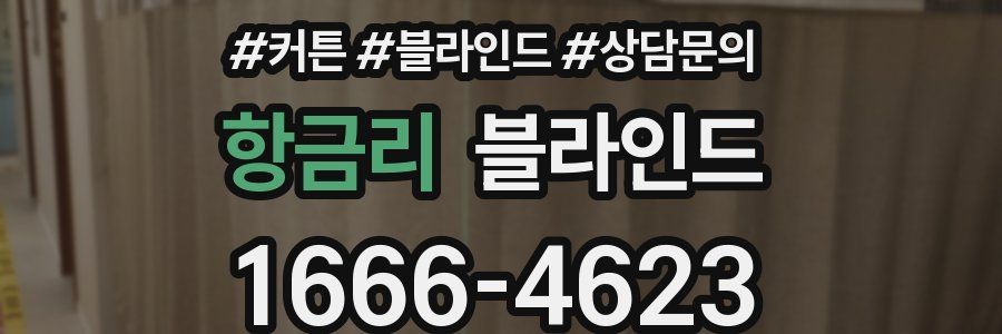 항금리 블라인드