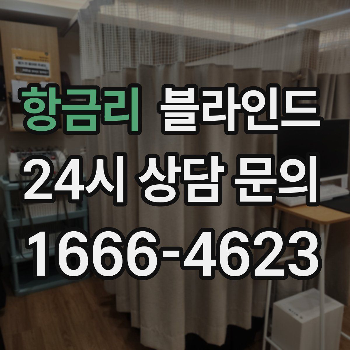 항금리 블라인드