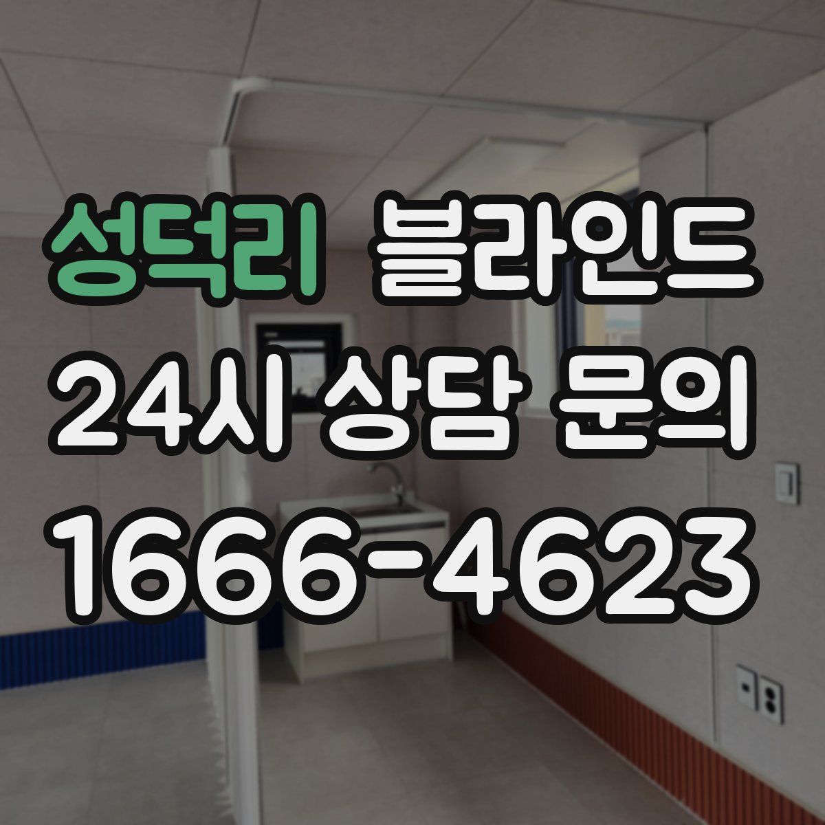 성덕리 블라인드