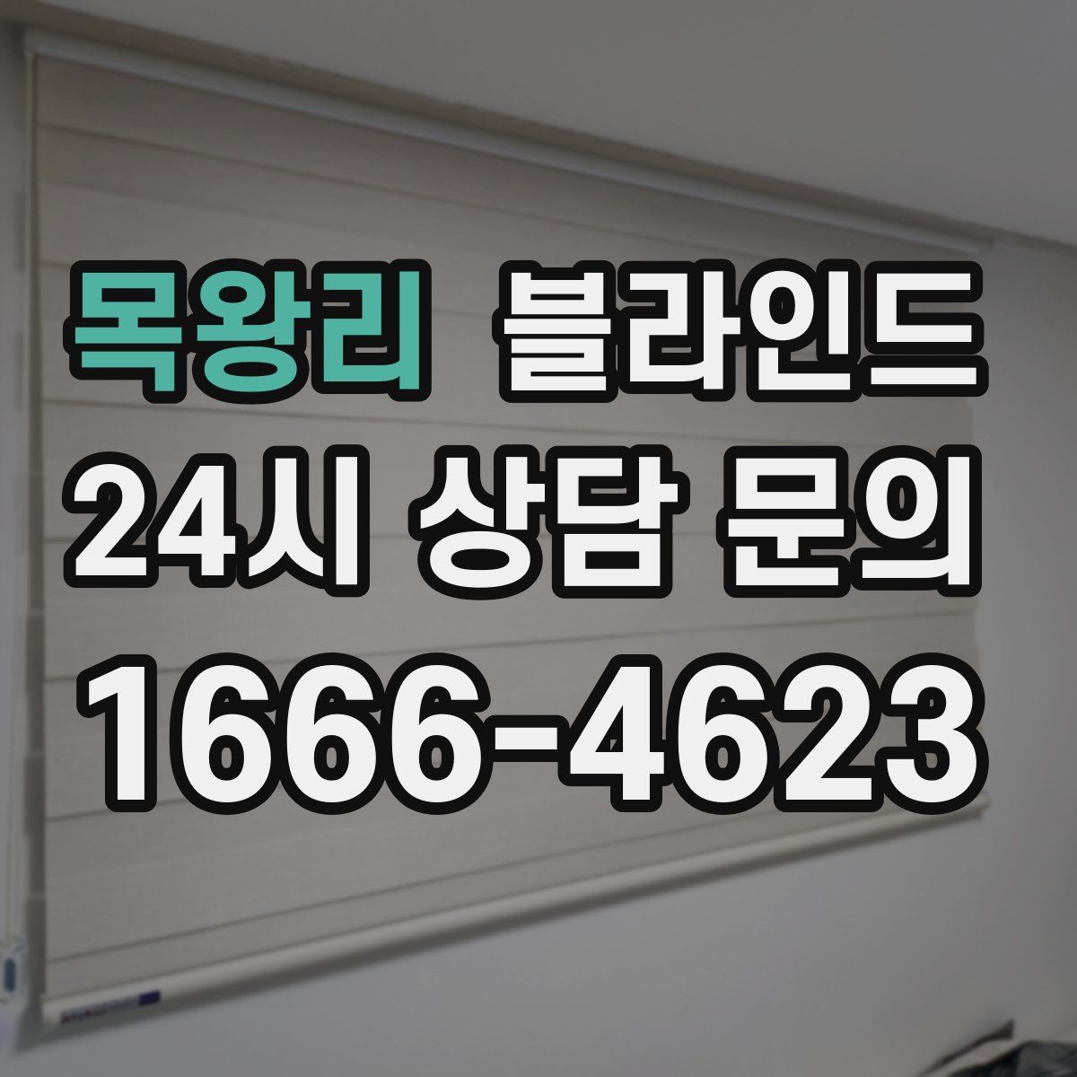 목왕리 블라인드