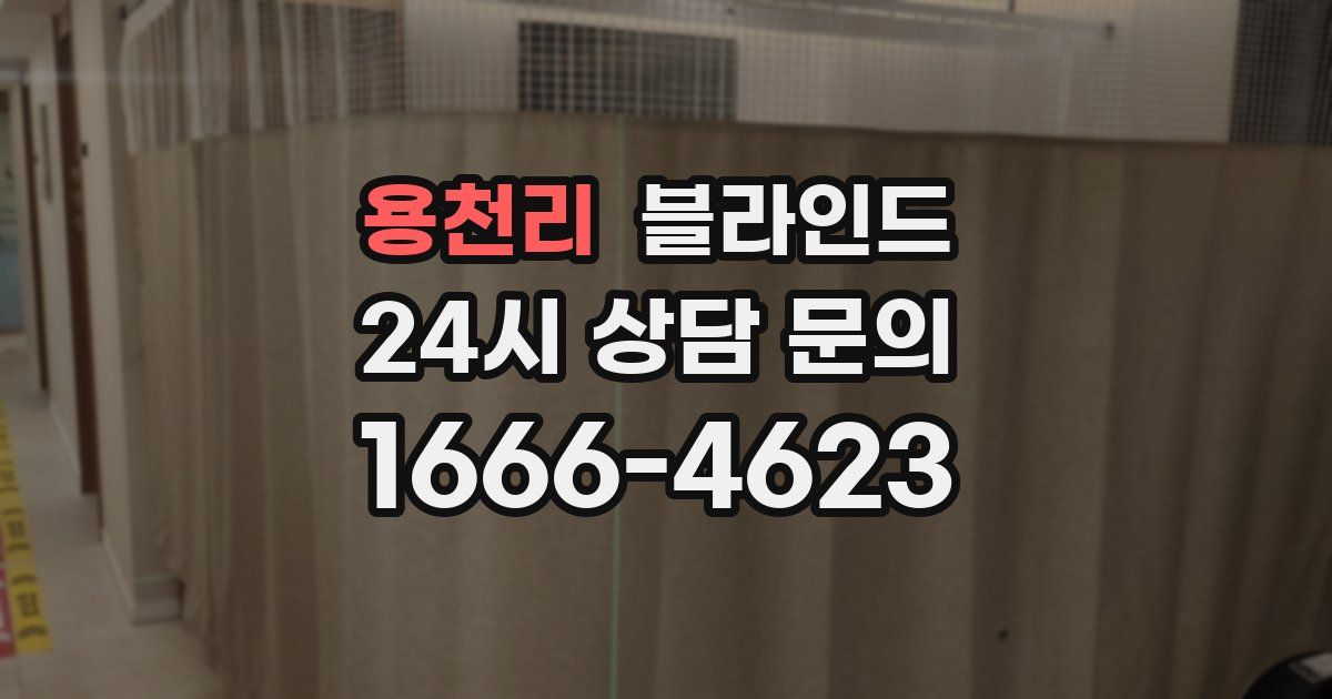 용천리 블라인드