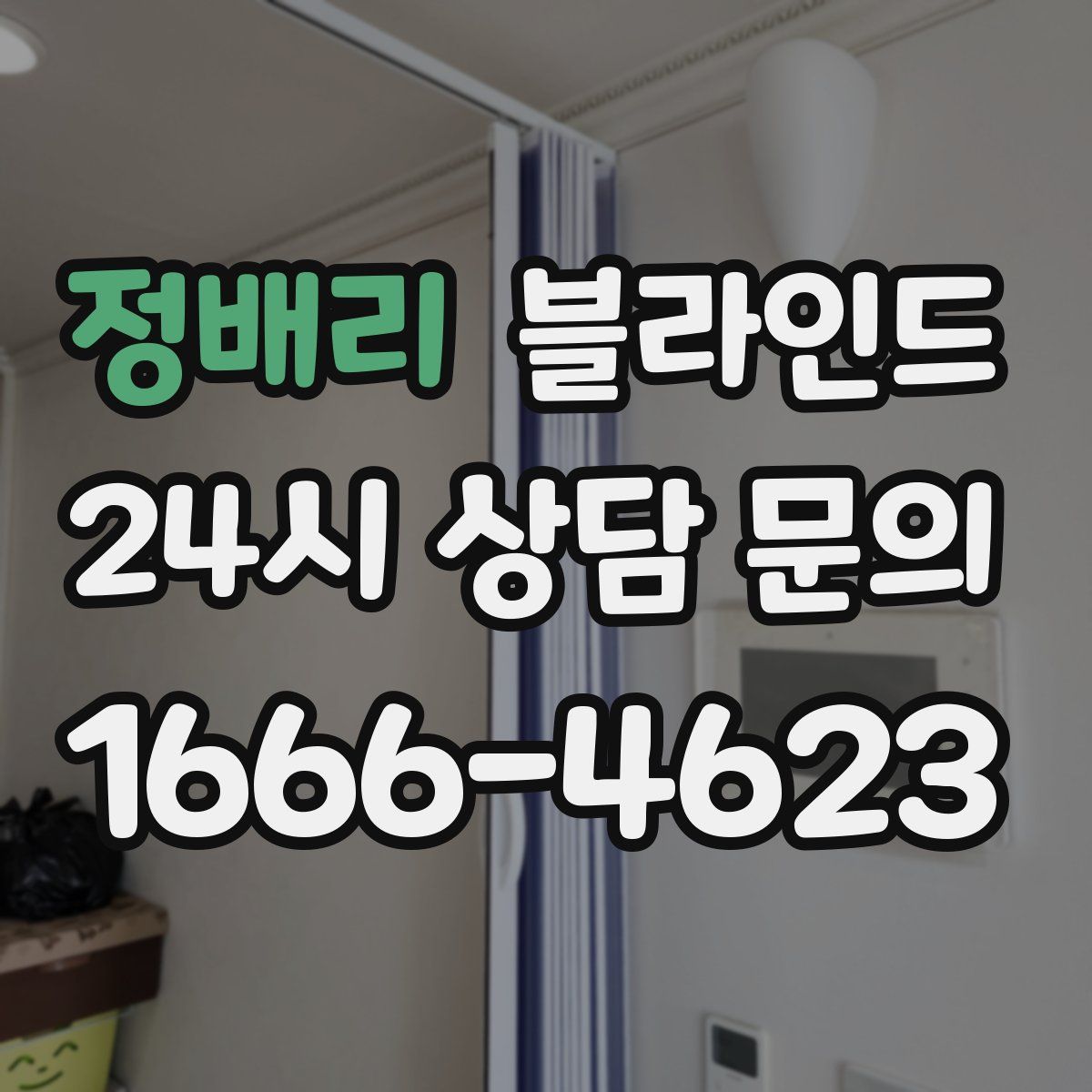 정배리 블라인드