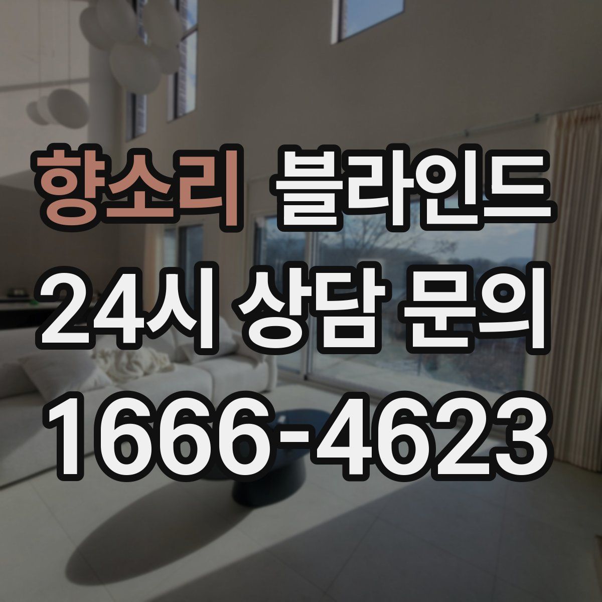 향소리 블라인드