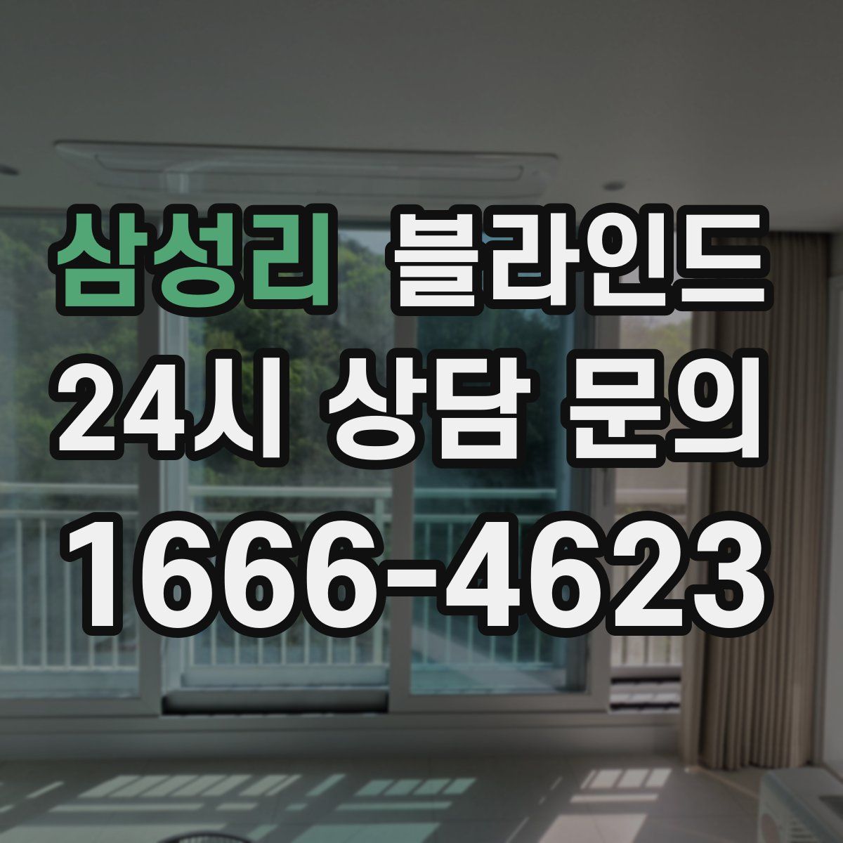 삼성리 블라인드