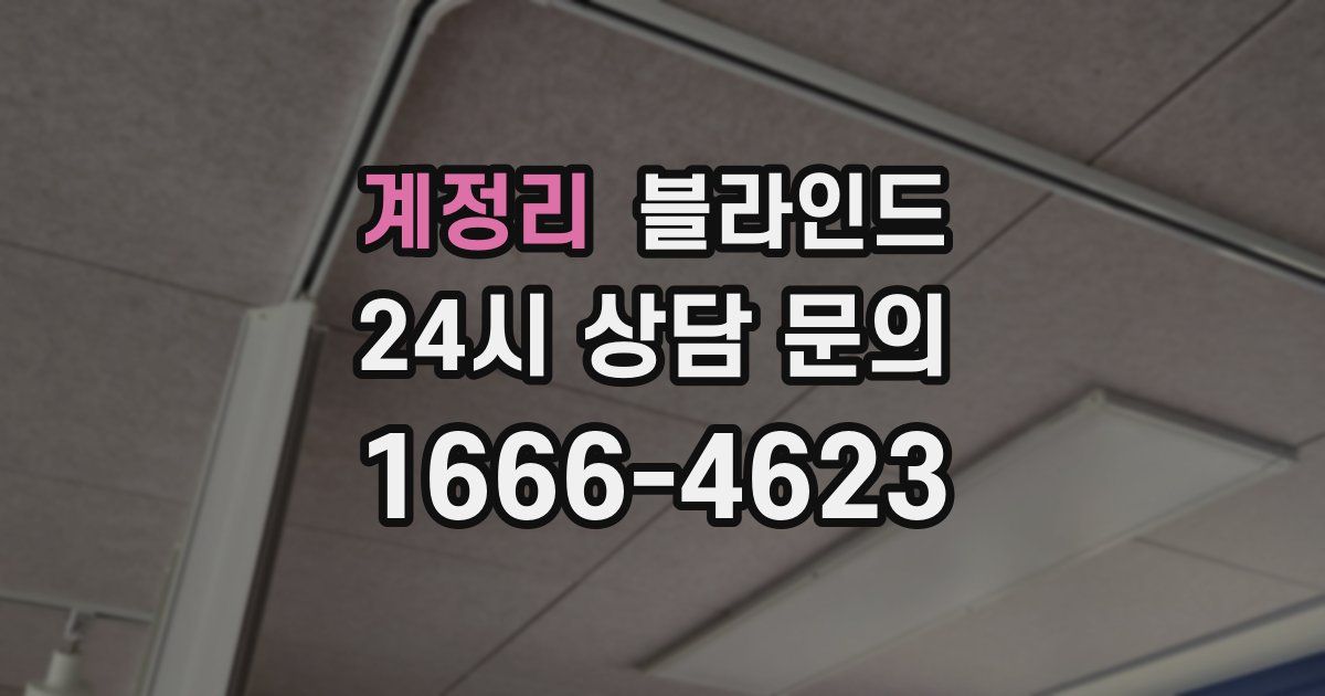 계정리 블라인드