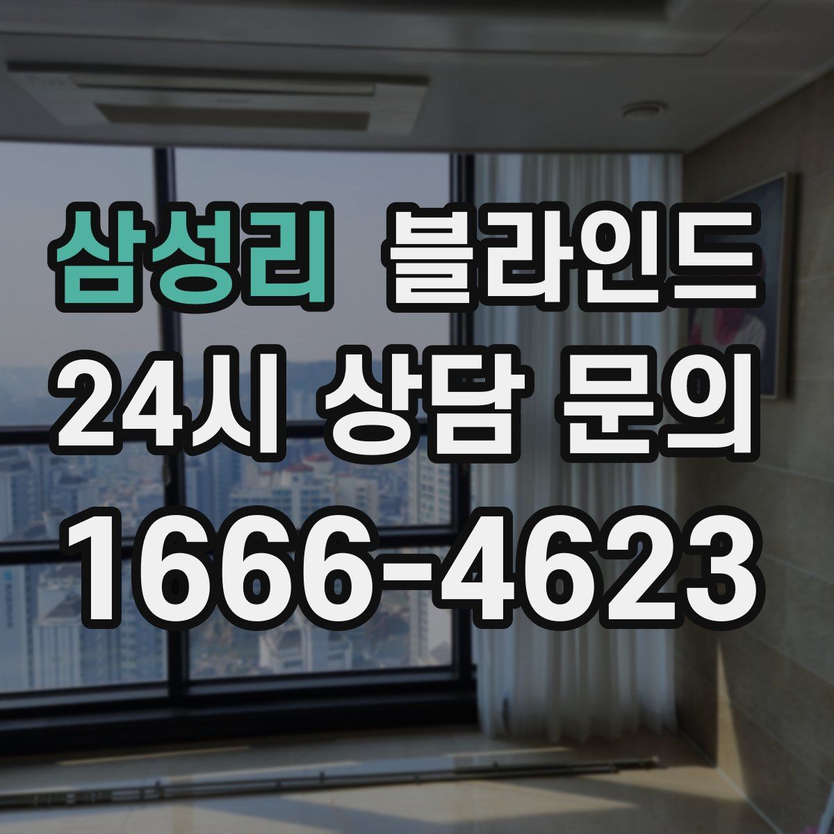 삼성리 블라인드