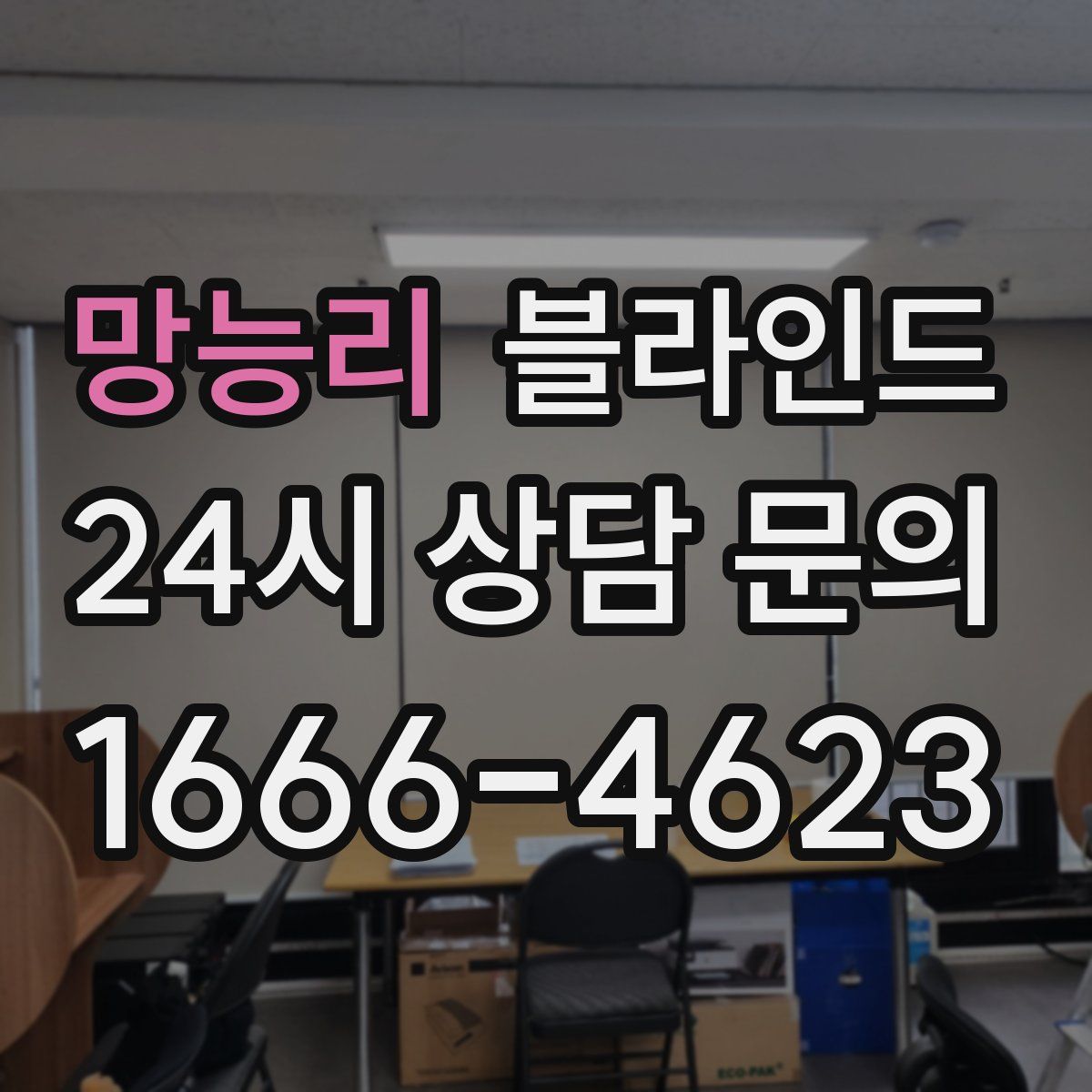 망능리 블라인드