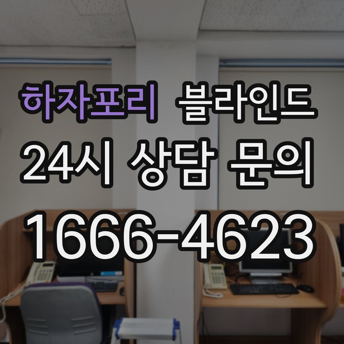 하자포리 블라인드