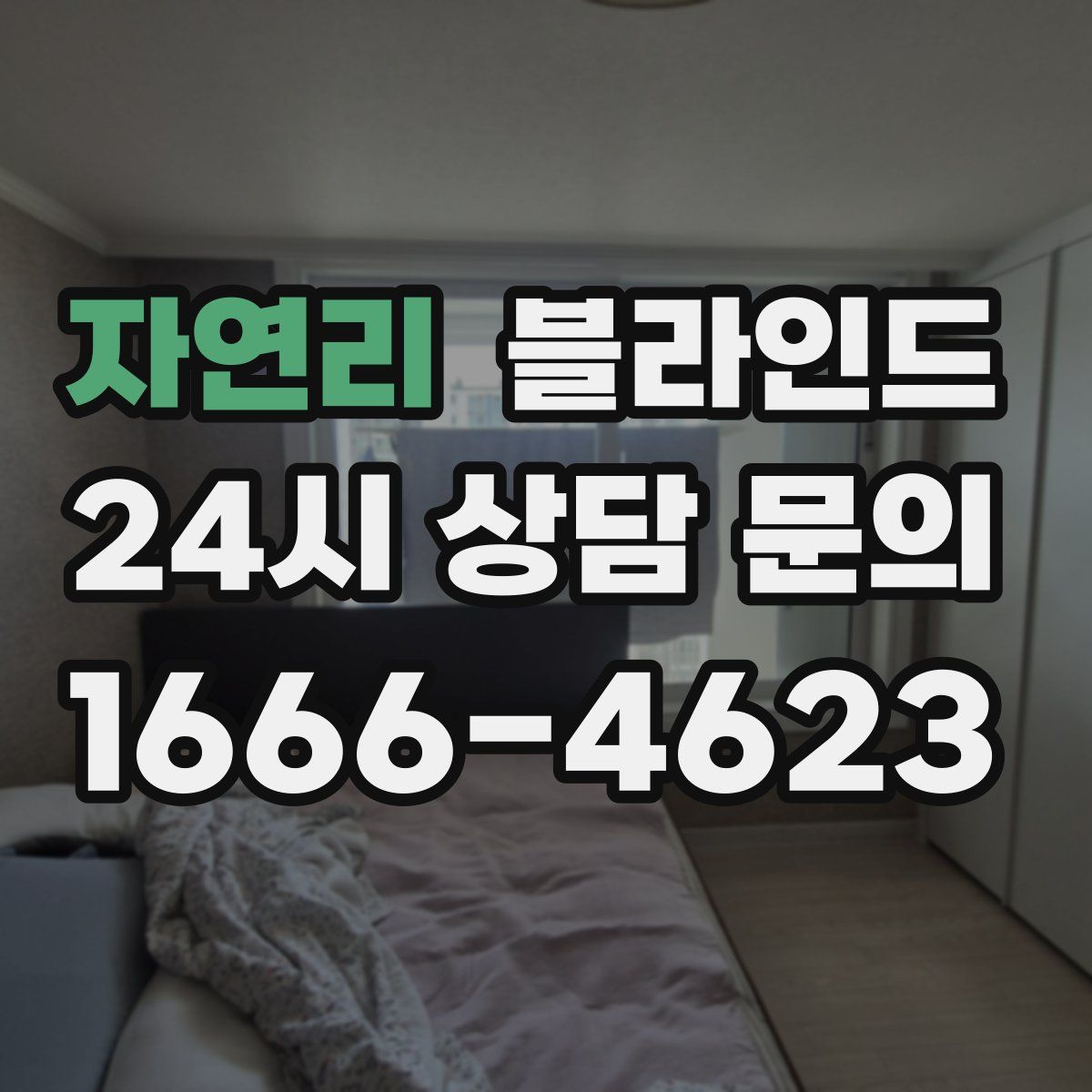 자연리 블라인드