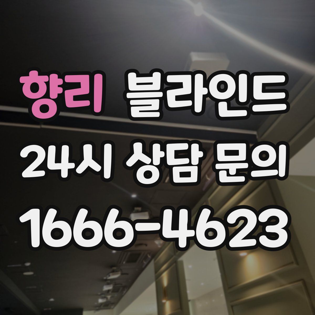 향리 블라인드