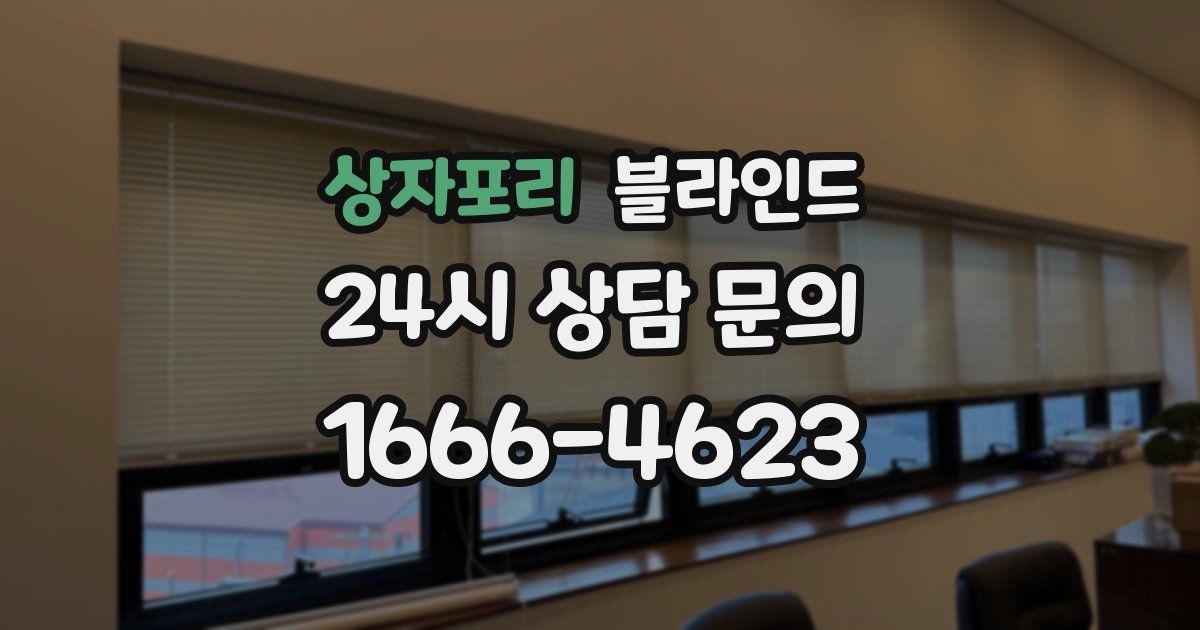 상자포리 블라인드
