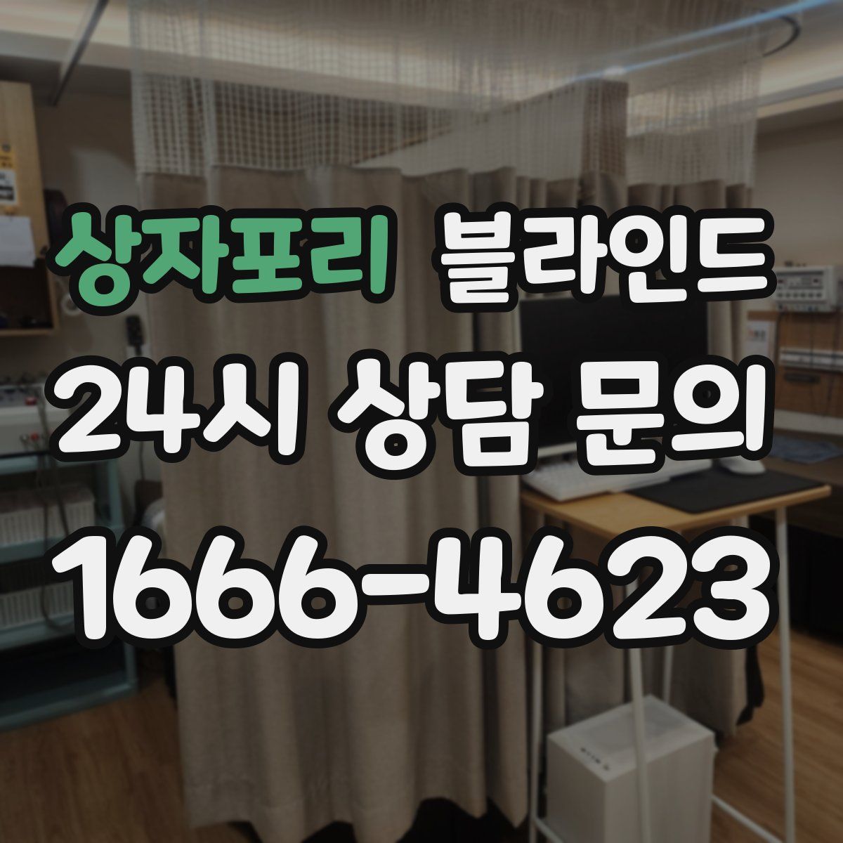 상자포리 블라인드