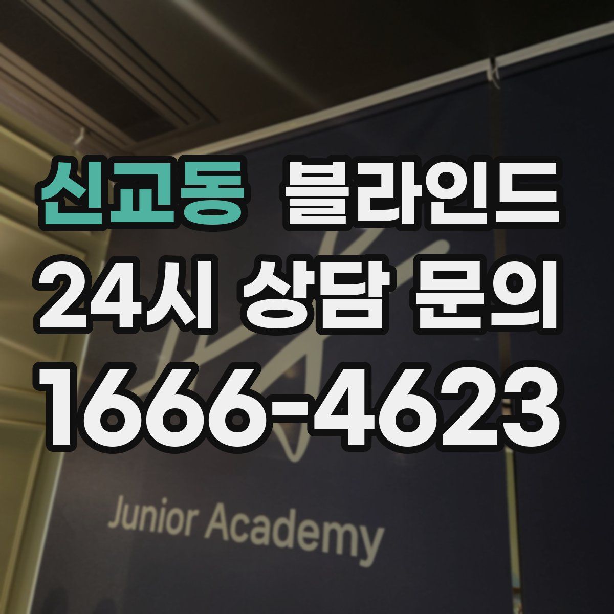 신교동 블라인드